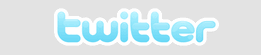 Twitter Logo